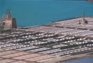 Las Salinas de Janubio, Lanzarote, Islas Canarias