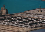 Salinas de Janubio